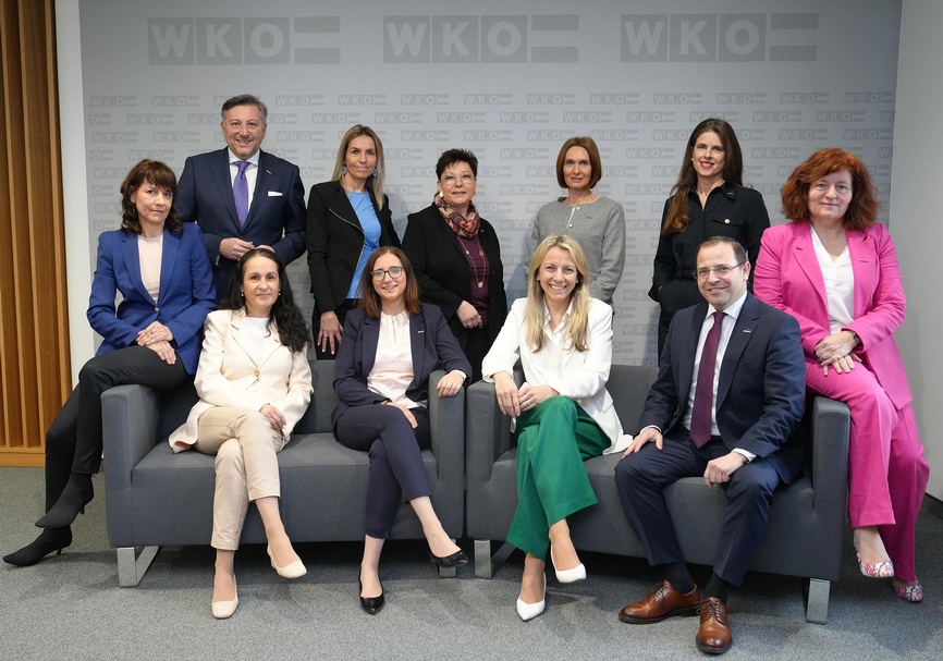 Weibliche Führungskräfte mit Wirtschaftskammerpräsident Mst. Andreas Wirth (sitzend), Direktor Harald Schermann und Vizepräsidentin KommR Herta Walits-Guttmann (stehend M.): Corinna Scheiber, Sabine Lehner, Karin Schramböck, Katrin Sagmeister, Doris Granabetter (sitzend v. l.); Carola Fuchs, Natascha Kummer, Ulrike Cámara-Ehn (stehend v. l.) 