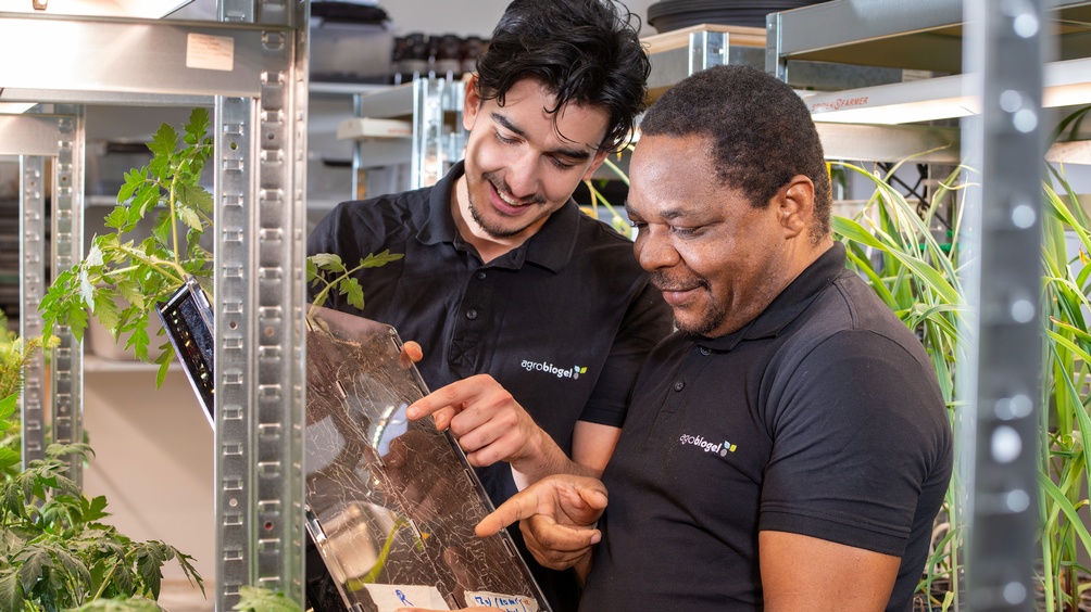 Gibson Nynanhongo und Matija Mijatovic