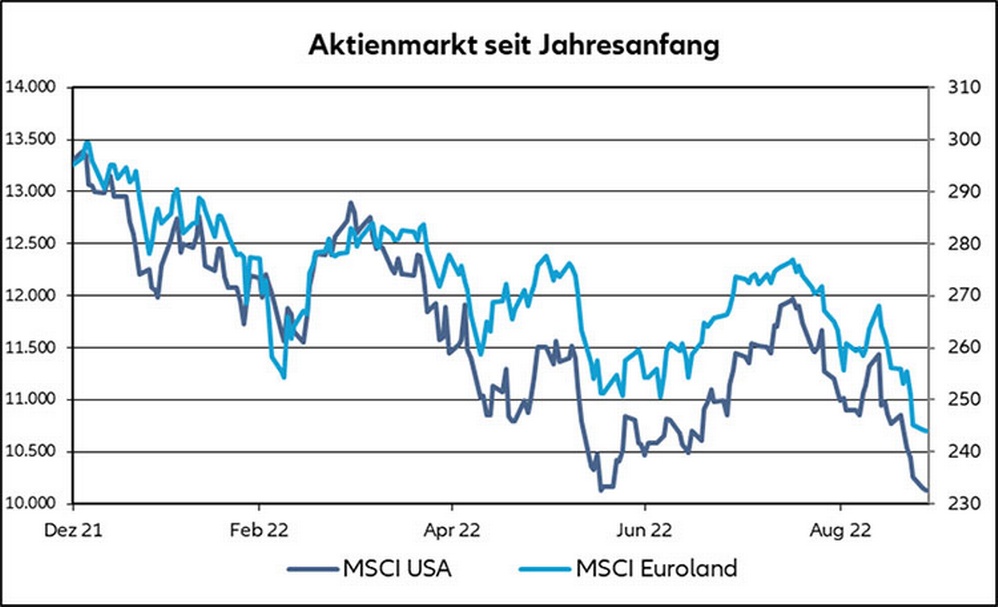 Verlaufsdiagramm der Aktienkurse