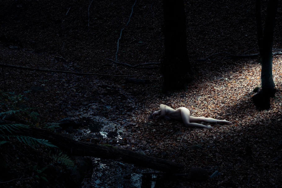 Person liegt auf Laubboden neben Bachlauf in einem Wald.