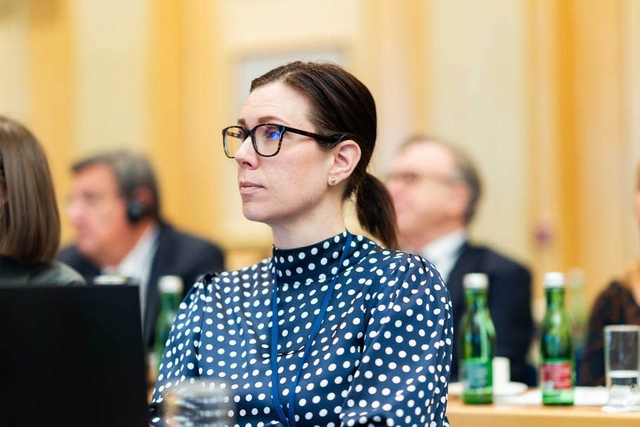 Teilnehr:innen des BIPAR mid-term meeting 2026 in Wien