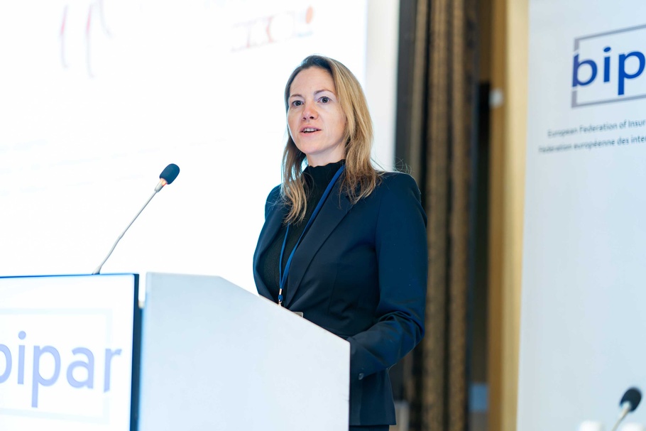 Teilnehr:innen des BIPAR mid-term meeting 2026 in Wien