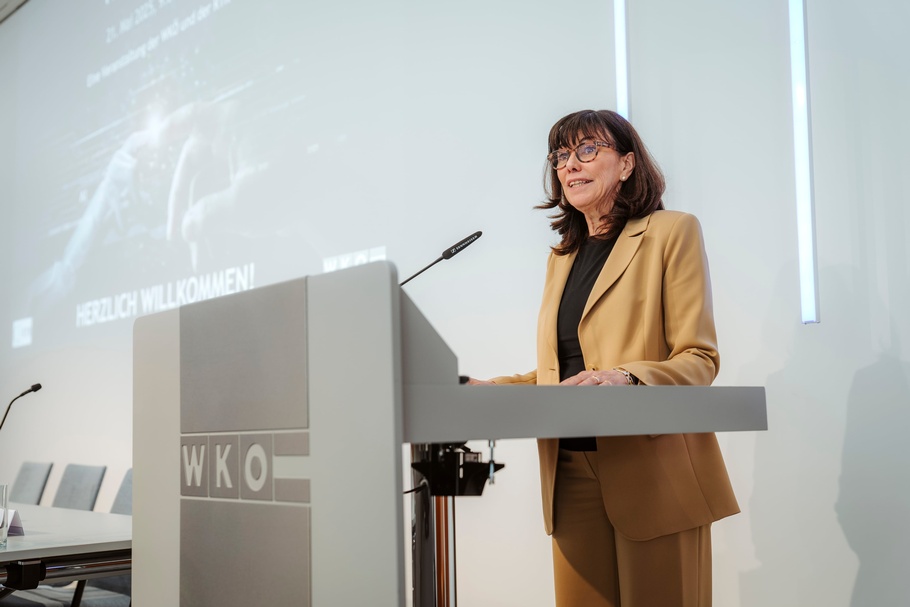 Veranstaltung "KI in der Praxis" von WKÖ und RTR GmbH