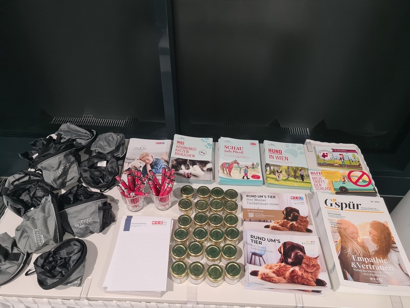 Gruppenbild der Veranstalter:innen und Bilder vom Infomaterial