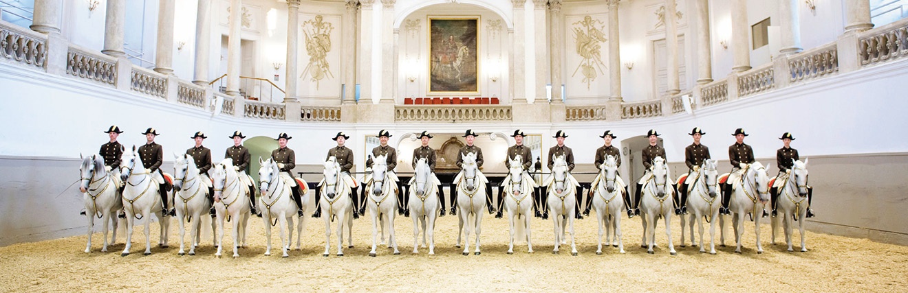 Lippizaner mit Reitern spanische Hofreitschule