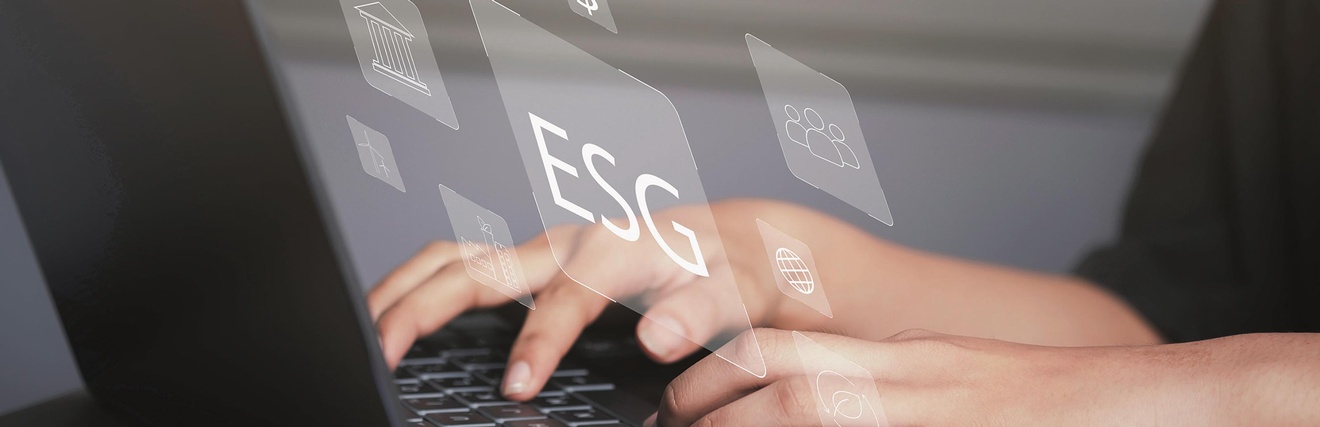 The KonG - stock.adobe.com