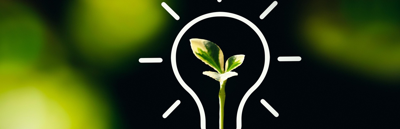 proxima studio | stock.adobe.com