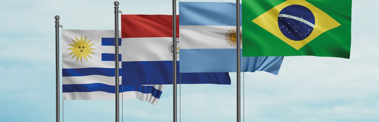 Flaggen der Mercosur-Länder