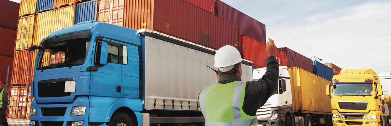 sculpies - stock.adobe.com