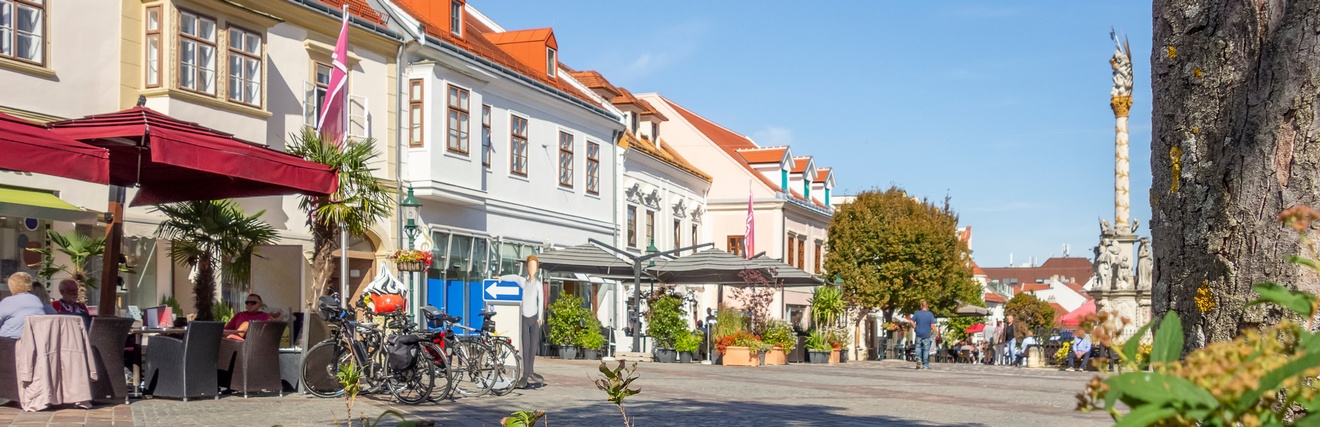 Ansicht  des Stadtplatzes in Eisenstadt  im Burgenland mit historischen Gebäuden und einer Pestsäule, im Vordergrund Baumstamm und blühende Pflanzen.