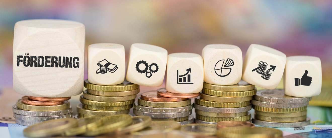 Würfel mit Schriftzug Förderung und unterschiedlichen Icons auf Münzen platziert