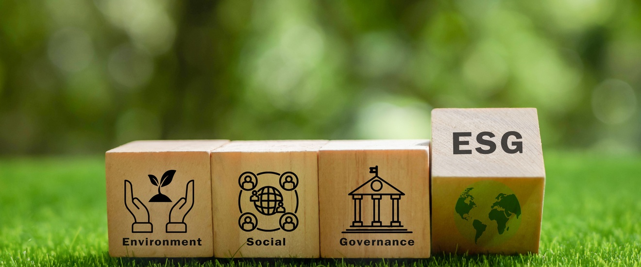 Auf einem grünen Rasen liegen vier Würfel nebeneinander. Auf dem ersten steht environment, auf dem zweiten social, auf dem dritten governance, auf dem vierten esg