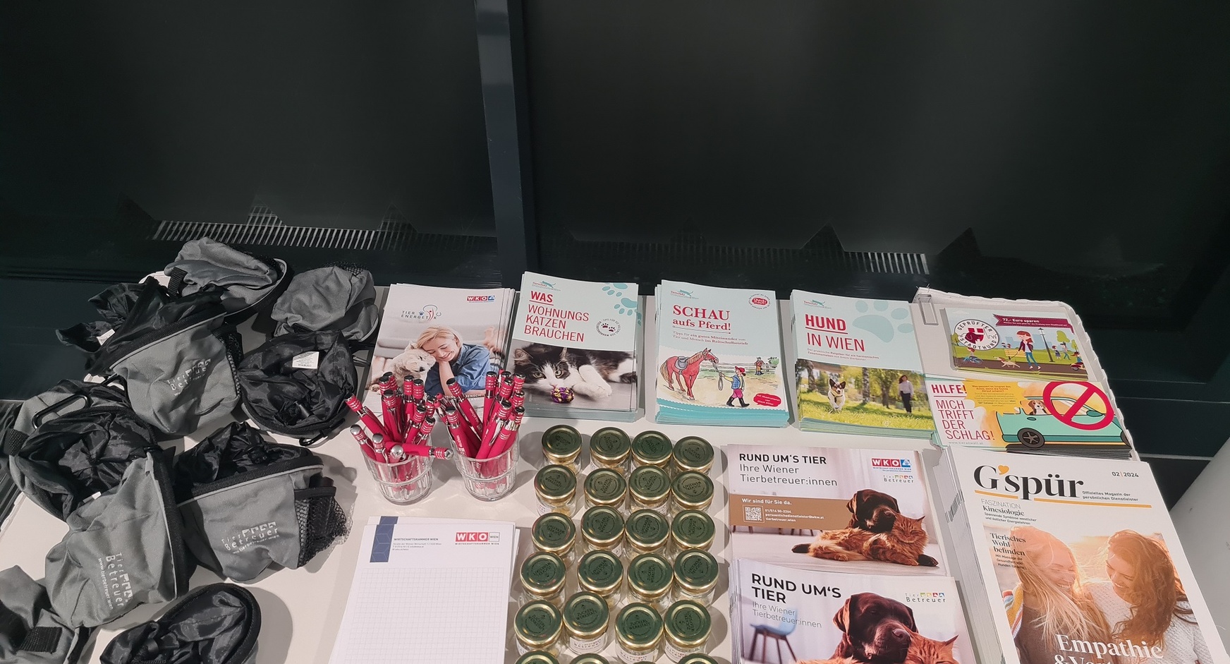 Gruppenbild der Veranstalter:innen und Bilder vom Infomaterial