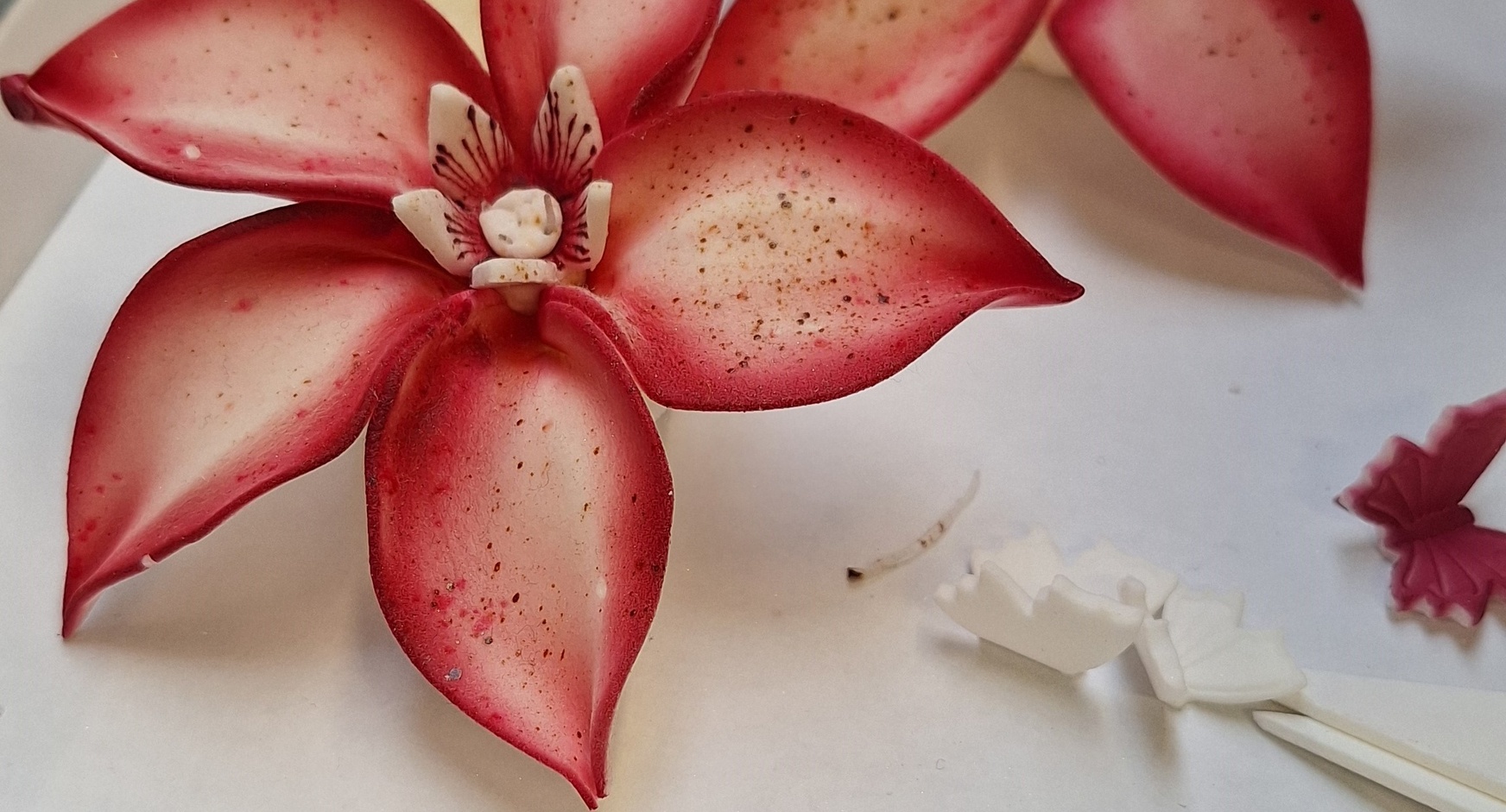 Businesstreffen Groissböck