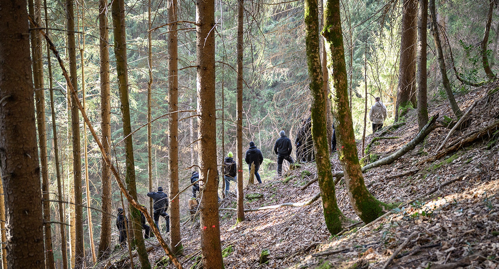 Fachkräftelehrgang Holzbau 2026