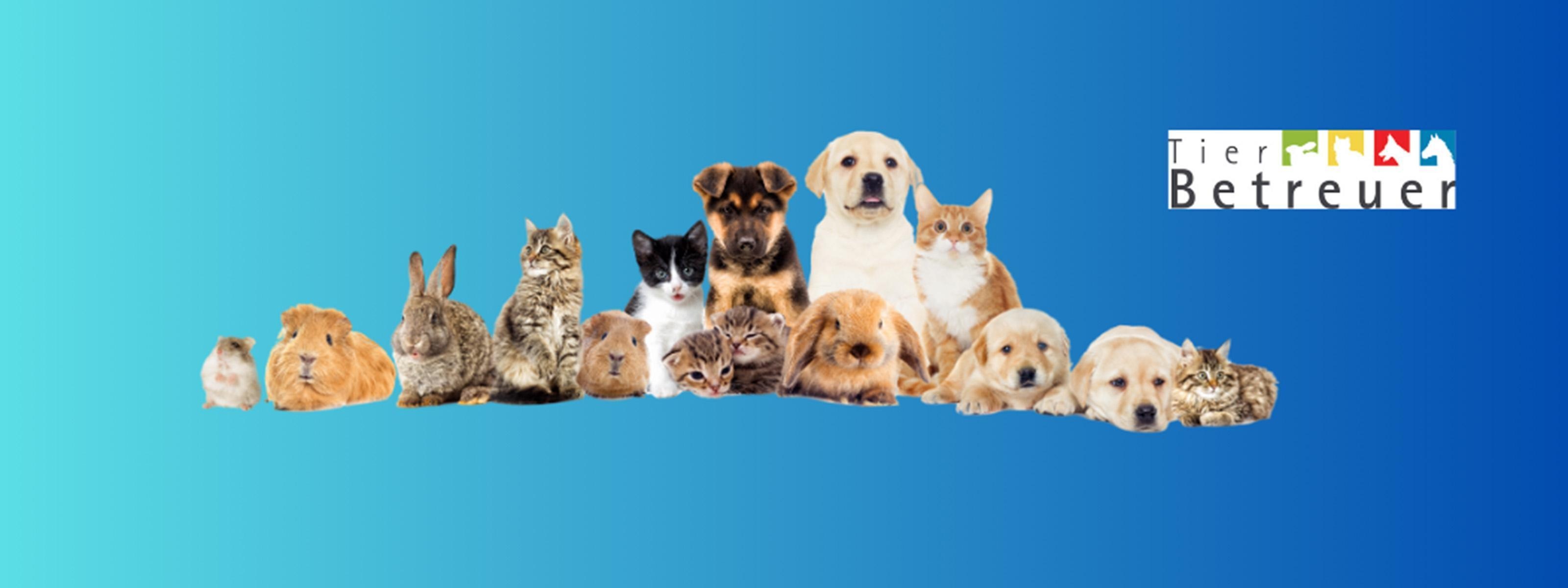 Vor blauem Hintergrund sitzen nebeneinander in einer Reihe verschiedene Tiere wie Hamster, Hunde, Katzen oder Hasen. Daneben steht Tierbetreuer