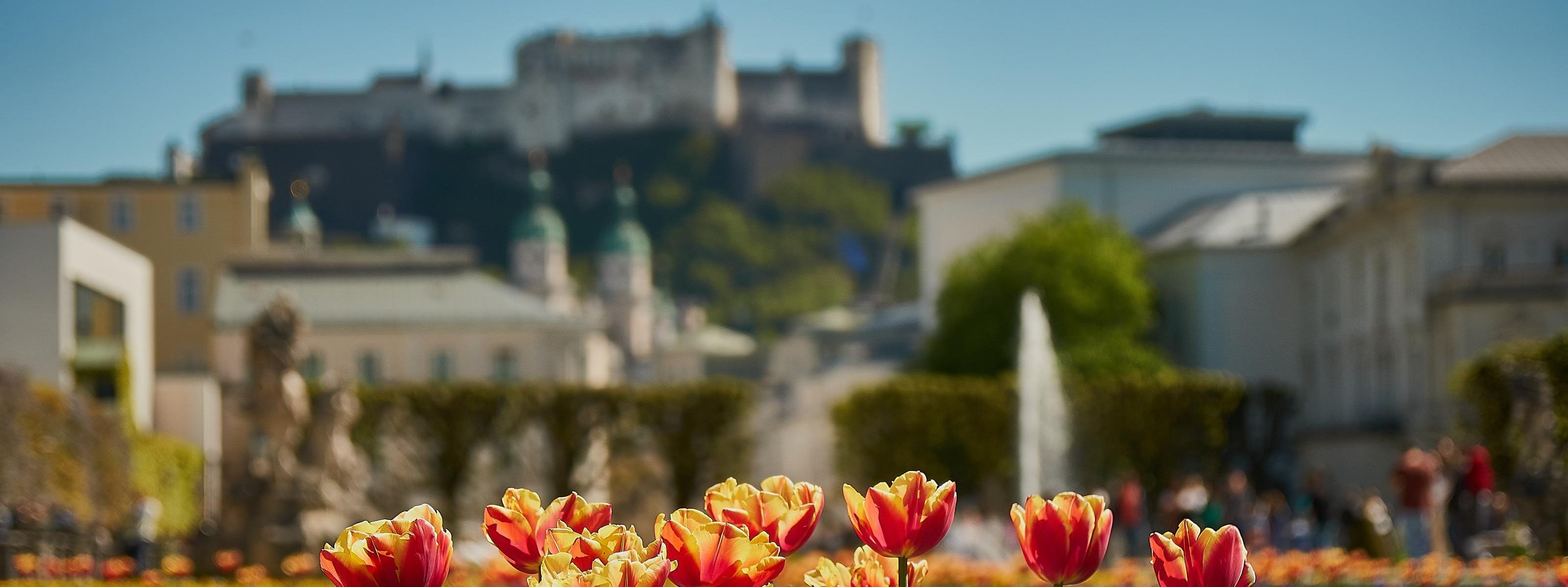 Im Fokus im Vordergrund rotgelbe Tulpen und violette Stiefmütterchen, im Hintergrund verschwommen Parkanlage mit Springbrunnen, historische Gebäude und auf Erhöhung Festung