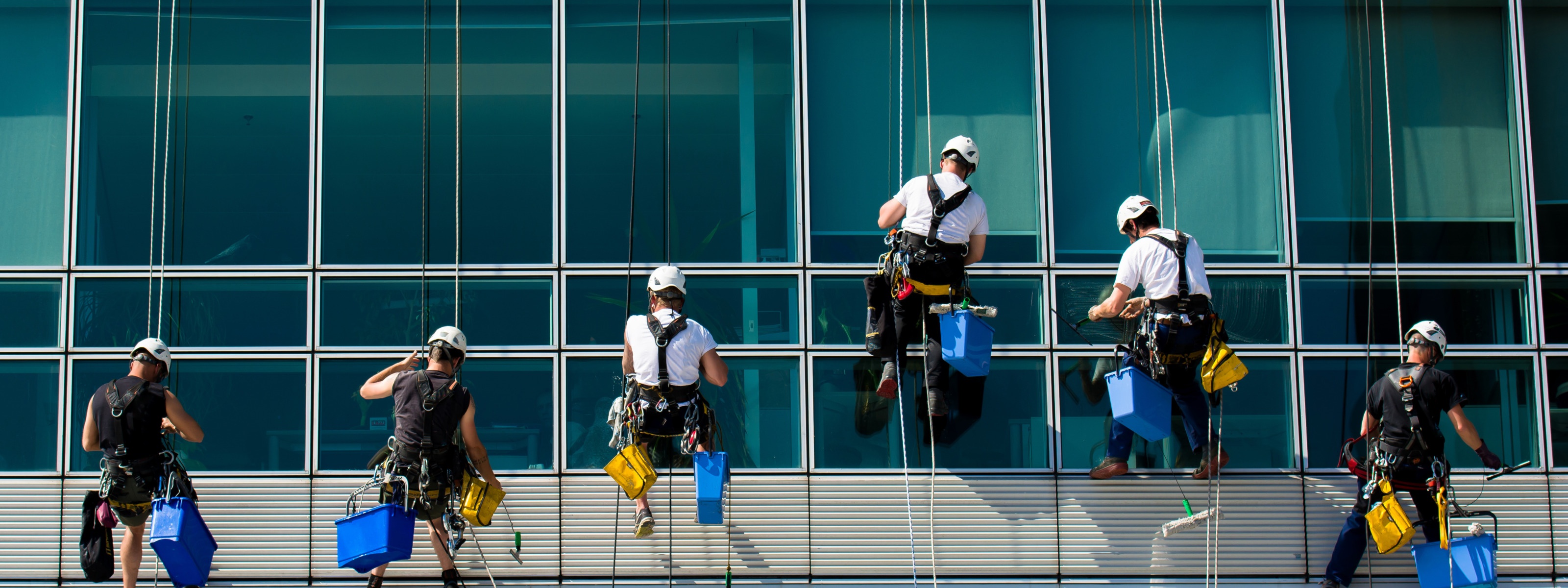 Mehrere Personen in Arbeitskleidung und mit Helmen seilen sich an Glasfassade ab und reinigen Fenster