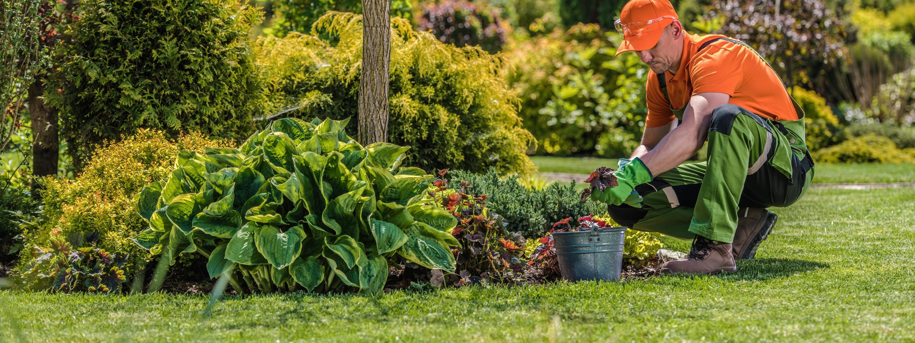 Person mit oranger Kappe, in orangem T-Shirt und grüner Arbeitslatzhose hockt vor Gartenbeet vor Eimer mit Pflanzen 
