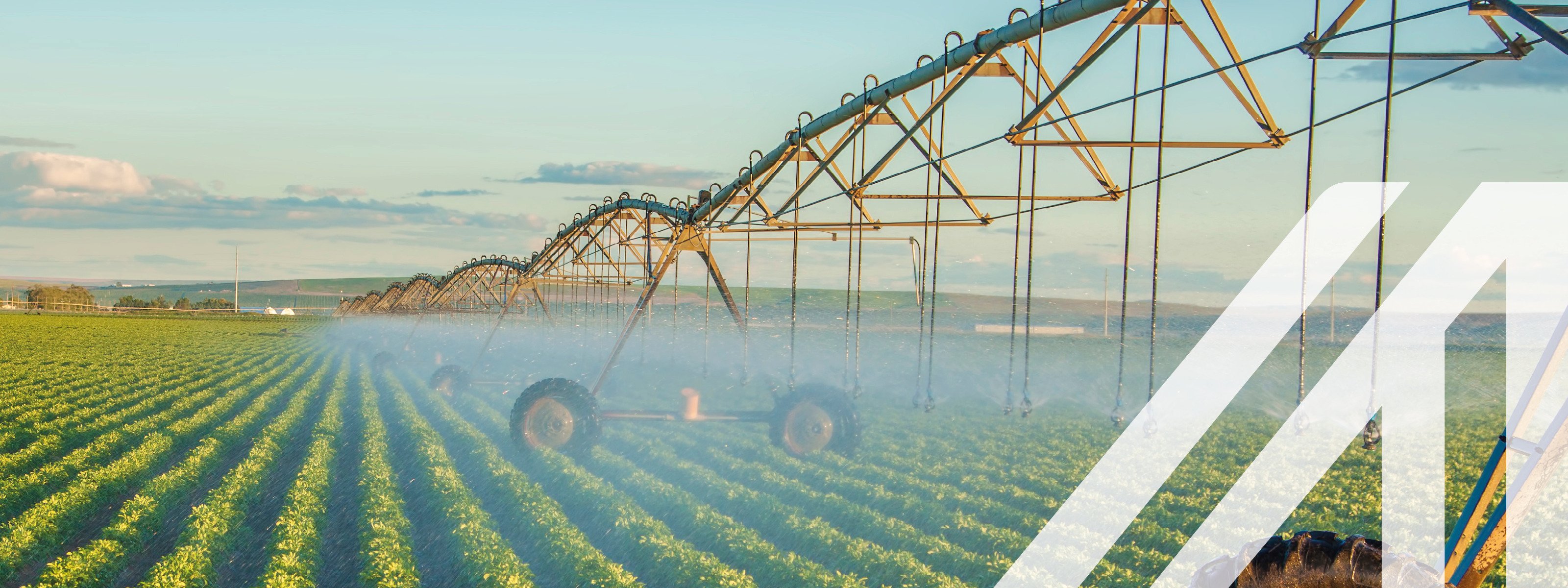Mobile Bewässerungsanlage auf einem Kartoffelfeld
