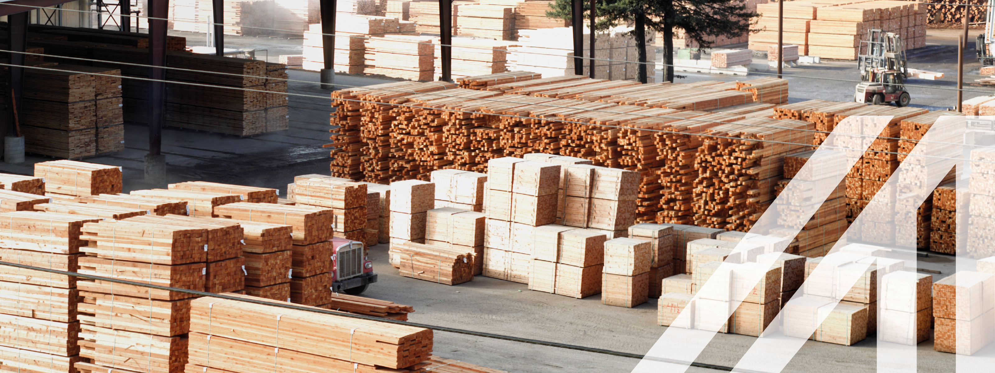 Sägewerk mit gestapelten Baumstämmen, Kanthölzern und anderen geschnittenen Holzprodukten