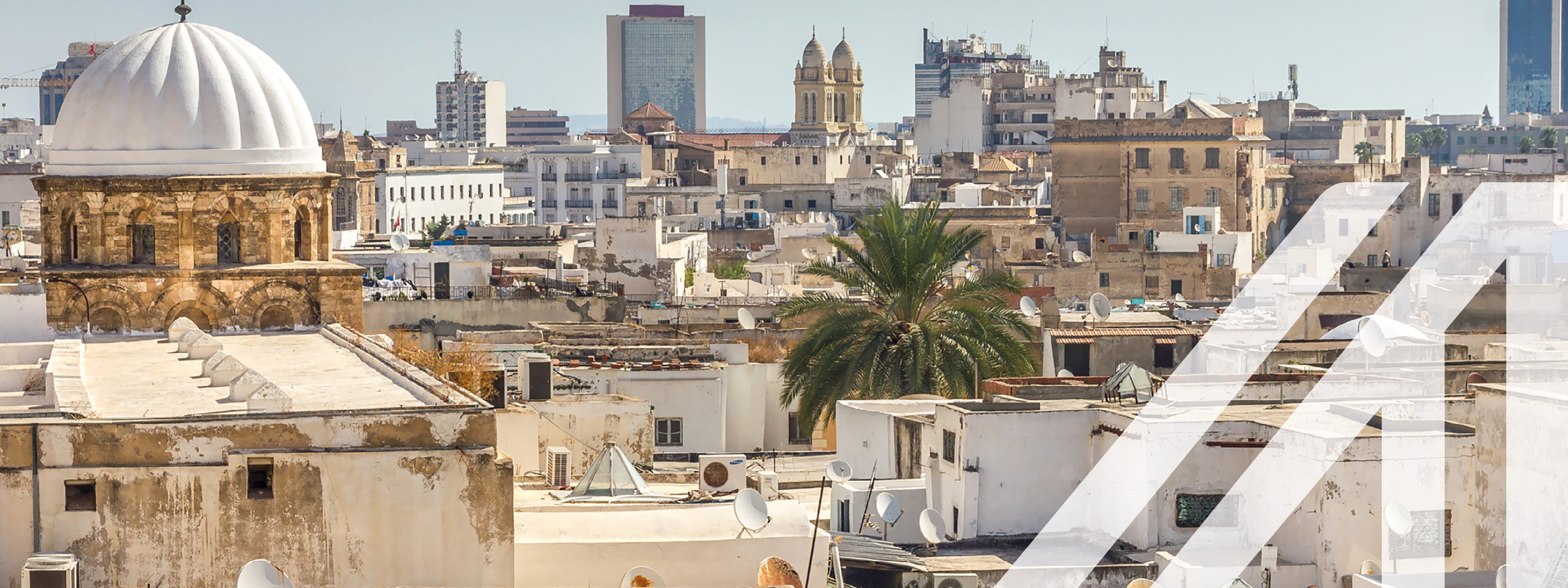 Stadtansicht von Tunis: Blick über die Dächer der weißen Häuser von Tunis, darunter eine weiße Rundkuppel, Türme und Wolkenkratzer in der Ferne unter grau-blauem Himmel. Über das Bild wurde ein weißes Austria A gelegt.