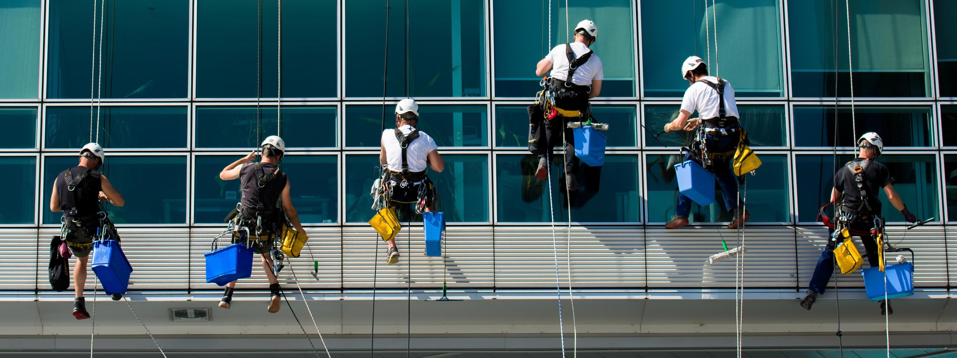 Mehrere Personen in Arbeitskleidung und mit Helmen seilen sich an Glasfassade ab und reinigen Fenster