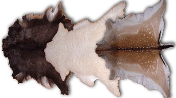 Drei gegerbte Felle