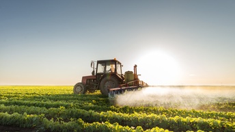 Ein Traktor fährt über ein Feld mit Pflanzen und verteilt über dieses mit einer Vorrichtung Pestizide