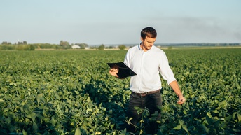 Frontale Aufnahme einer Person, die in einem Feld mit grünen Pflanzen mit Blättern steht und auf ein Blatt blickt. In der rechten Hand hält die Person ein Tablet