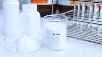 Auf einem hellen Tisch stehen nebeneinander zwei Glasgefäße. In beiden ist ein weißes Pulver drinnen. Auf dem rechten steht L-Lysine. Dahinter stehen weiße, kleine Plastikgefäße