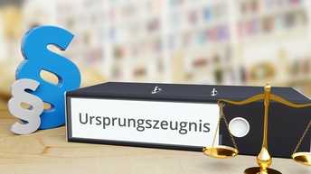 Ursprungszeugnis – Ordner mit Beschriftung, Paragraf und Waage – Recht, Gesetz, Anwalt