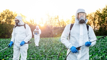 Drei Personen in weißen Schutzanzügen mit Vollgesichtsmaske und Atemschutz mit blauen Handschuhen über Kohlkopffeld gehen: Zwei Personen halten Spritzdüsen, eine Person aufgeklappten Laptop, im Hintergrund Baumzeile, durch die Sonnenlicht fällt