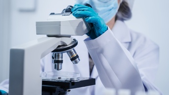 Nahaufnahme eines Mikroskops mit einer Petrischale. Am Mikroskop sitzt eine Person mit Mundschutz, weißem Kittel, Schutzbrille und Handschuhen