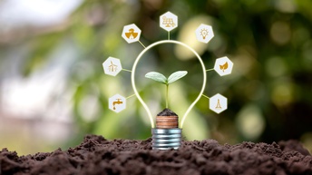 Pflanze wächst aus einer virtuellen Glühbirne aus der Erde heraus, ringsum zeigen sich Icons zum Thema Umwelt und Nachhaltigkeit