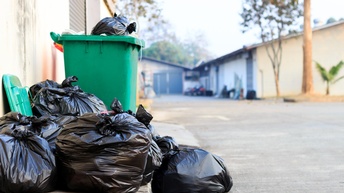 Auf einem Gehweg vor einer Hauswand stehen eine grüne, geöffnete Mülltonne, die bis zum Rand mit Müllsäcken befüllt ist sowie weitere, volle, schwarze Müllsäcke