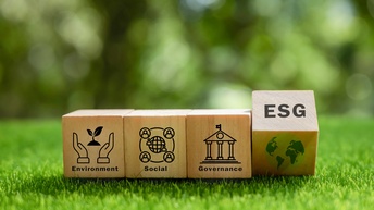 Auf einem grünen Rasen liegen vier Würfel nebeneinander. Auf dem ersten steht environment, auf dem zweiten social, auf dem dritten governance, auf dem vierten esg