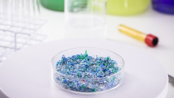 Pertischale mit blaugrünen Platikpartikeln