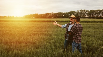 Zwei Personen stehen in einem Getreidefeld bei Sonnenuntergang und unterhalten sich, im Hintergrund Baumzeile