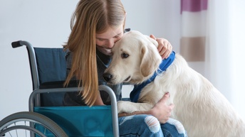 Kind mit langen hellen Haaren sitzt in einem Rollstuhl und streichelt einen Golden Retriever Hund, der sich zu ihr hinauflehnt