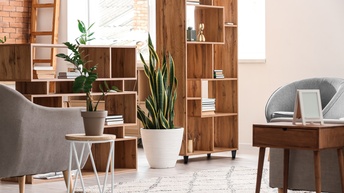 Moderner Wohnraum mit Holzregalen und Zimmerpflanzen