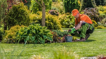 Person mit oranger Kappe, in orangem T-Shirt und grüner Arbeitslatzhose hockt vor Gartenbeet vor Eimer mit Pflanzen 