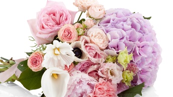 Nahaufnahme zusammengebundener, liegender Blumen mit hellen Blüten, in den Farben, weiß, rosa oder lila auf weißem Hintergrund