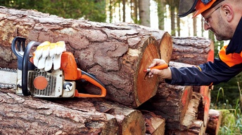 Person mit orangem Schutzhelm markiert mit orangem Stift geschnittenen Holzstamm der auf anderen Stämmen liegt, auf Stämmen im Ausschnitt Motorsäge und Handschuhe abgelegt, im Hintergrund verschwommen Wald