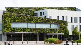 Modernes Gebäude mit großen Glasfronten und üppiger Fassadenbegrünung