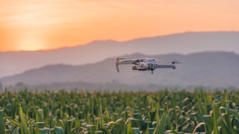 Eine Drohne fliegt über ein großes Feld mit grünen Gräsern. Im Hintergrund ist eine hügelige Landschaft