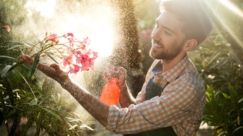 Lächelnde Person mit grüner Schürze hält in einer Hand pinke Blüte eines Oleanders und bestäubt diese mit Wasserzerstäuber mit anderer Hand 