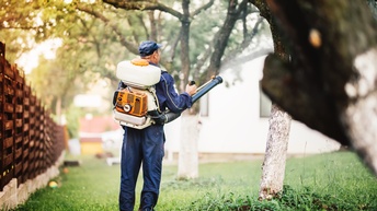 Person in Rückansicht mit Container und Minimotor am Rücken steht in Wiese zwischen Holzzaun und Bäumen und hält Röhre, die mit Container verbunden ist, in die Luft, im Hintergrund verschwommen weitere Bäume und Hausfront