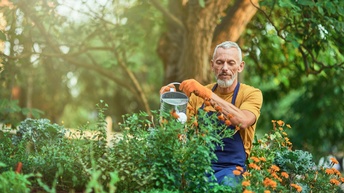 Eine Person mit grauen Haaren, Bart, blauer Schürze und Handschuhen steht an an einem Hochbeet im Freien und gießt dieses mit Wasser aus einer Gießkanne. Daneben sind weitere Hochbeete. Im Hintergrund ist ein großer, grüner Laubbaum