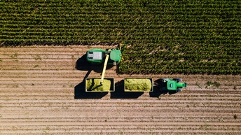 Aufnahme eines Feldes aus der Vogelperspektive. Auf dem Feld fährt eine Maschine, die die grünen Pflanzen auf dem Feld aberntet und in einen Behälter neben sich gebt, der von einem Traktor gezogen wird. Etwa die Hälfte des Feldes ist geerntet